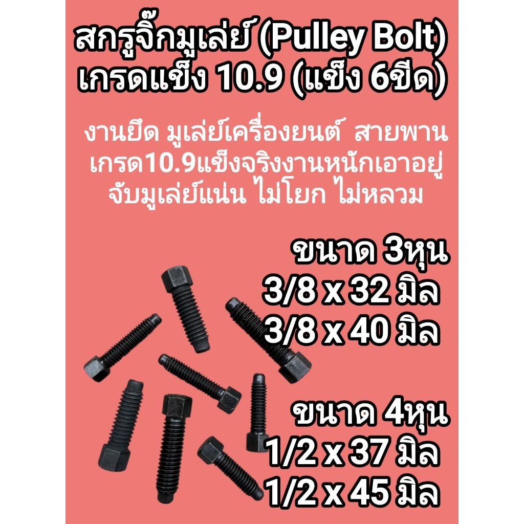 สกรูจิ๊ก มูเล่ย์ (Pulley Bolt) ขนาด 3/8(3หุน) รูปที่ 3
