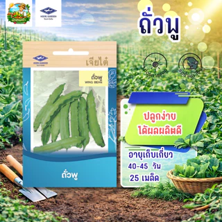 รวมผักเจียไต๋ (ชุดที่2)ผักซองเจียไต๋ มีให้เลือกมากว่า 45 ชนิด เมล็ดพันธุ์