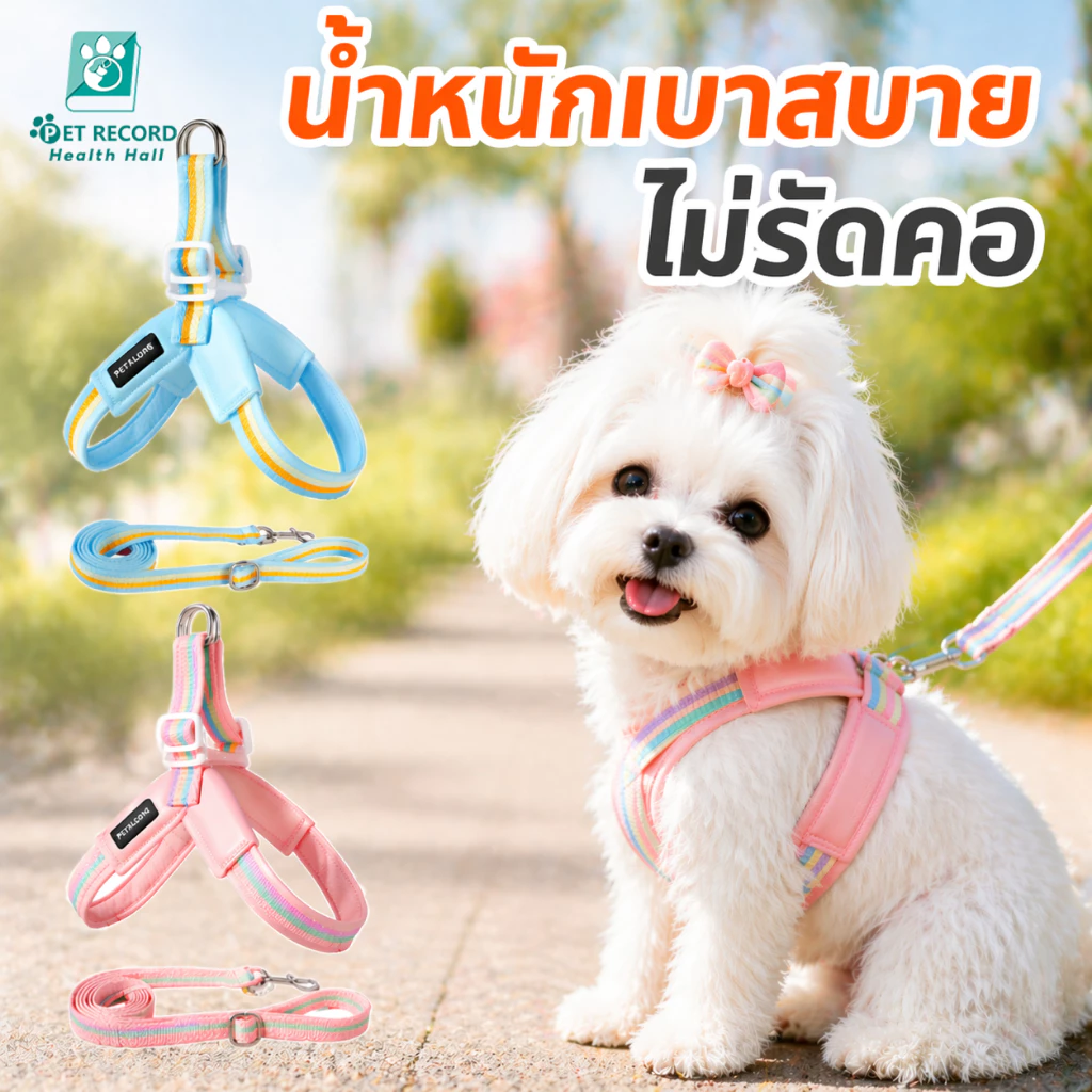 PET-RECORD สายจูงแมวรัดอก จูงหมา ออกแบบโครงสร้างสามเหลี่ยมปล้องกระดูก-ระบายอากาศดี กระตุกสะบักอิสระ