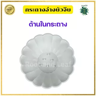 กระถางอ่างบัวจีบ มีทั้งหมด 2 ขนาด กระถางพลาสติกเกรด A มีความทนทาน ไม่แตกหักง่าย อ่างบัว อ่างเลี้ยงปลา อ่างน้ำพุ