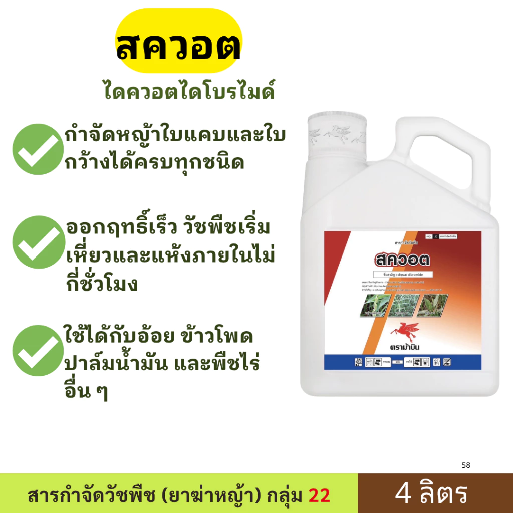 สควอต (ขนาด 4 ลิตร) ตราม้าบิน 🍃กำจัดหญ้าใบแคบและใบกว้างได้ครบทุกชนิด🍃