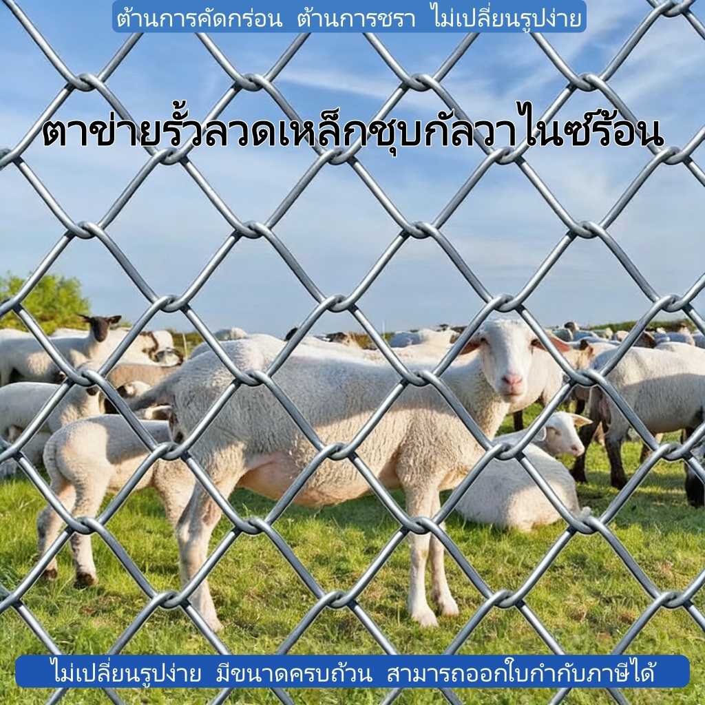 (ม้วนยาว9/18/27เมตร) ลวดตาข่ายเหล็กถัก เหล็กชุ บกัลวาไนซ์ แข็งแรงทนทาน ลวดเงาสวย ทำกรงสัตว์ รั้วล้อมสวน ความสูง1.15 ม