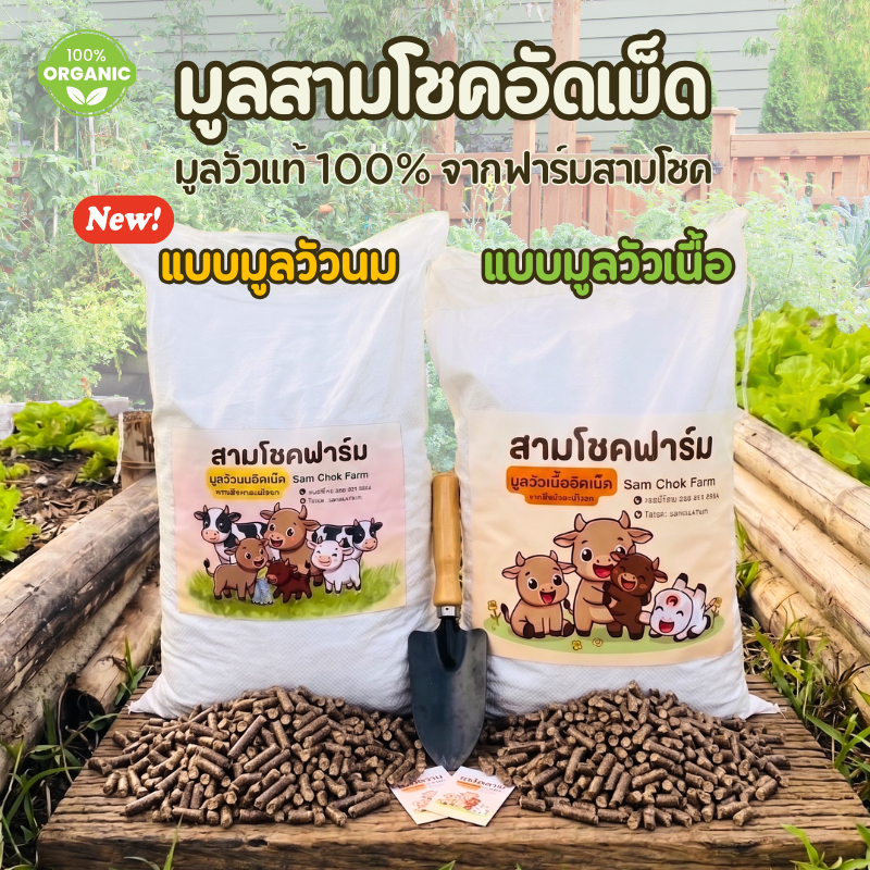 Sam Chok Farm มูลวัวอัดเม็ดแท้ 100% (วัวเนื้อ/วัวนม) 1กก./ 5 กก. / 15 กก. วัสดุปรับปรุงดินจากมูลน้องสามโชค ไม่มีสารเคมี