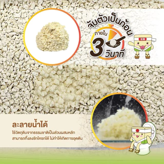 Kasty ทรายแมวเต้าหู้ 6,10, 20L แคสตี้ ปราศจากฝุ่น ทิ้งชักโครกได้