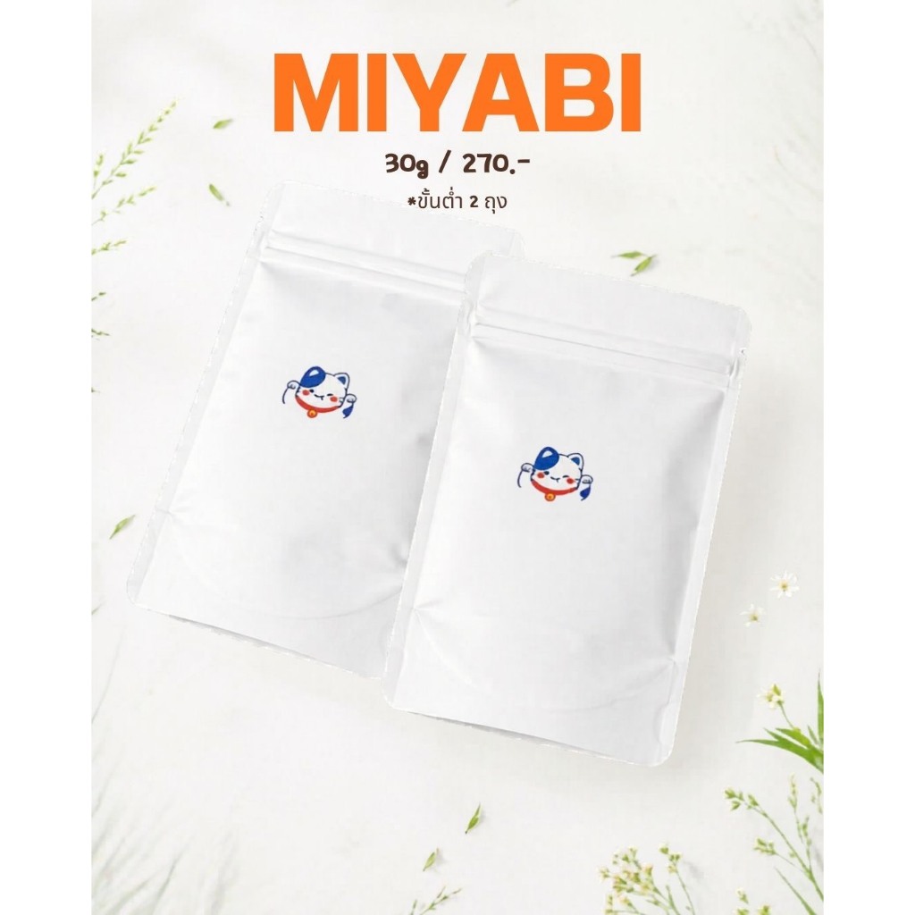 Miyabi Yame matcha มัทฉะ ราคาขายส่งสำหรับคาเฟ่