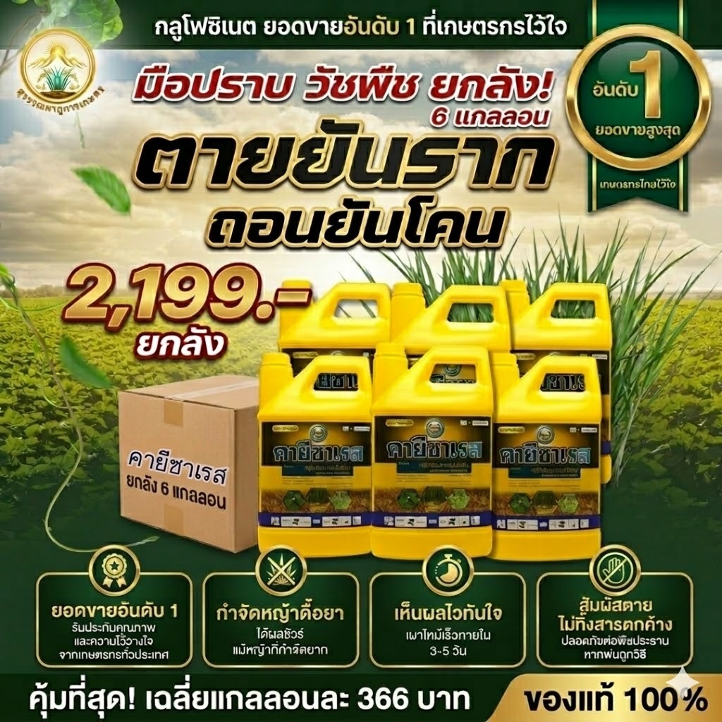 คายีซาเรส (หวีทอง) ขนาด 4 ลิตร (6แกลลอน)สารกลูโฟซิเนต-แอมโมเนียม ยากำจัดวัชพืชประเภทใบกว้าง ใบแคบ หญ้าปากควาย และกก
