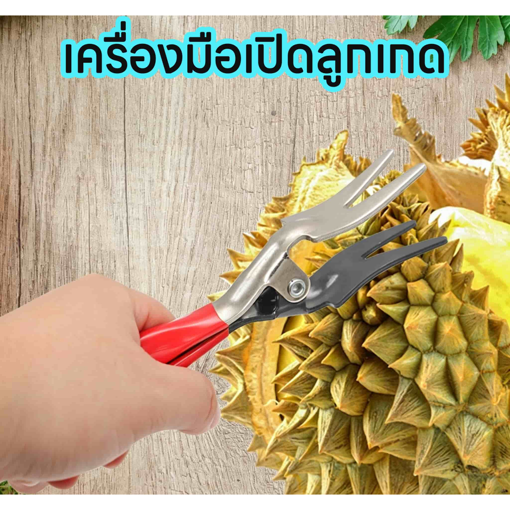 มีดปอกทุเรียน คีมพิเศษ เครื่องมือทุเรียน ที่ฟรีค่าส่ง เปิดเปลือกผลไม้ทุเรียนที่เปิดเปลือกทุเรียน