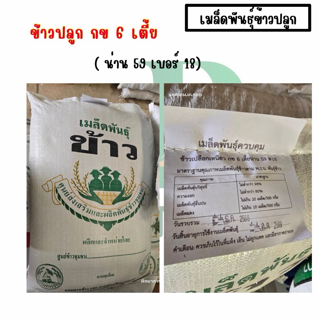 เมล็ดพันธุ์ข้าวปลูก กข 6 เตี้ย น่าน59 เบอร์ 18 ขนาด 25 กิโลกรัม
