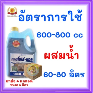 เอชโฟร์-แอล 5ลิตรกลูโฟซิเนต (สูตรL-Form) ยกลัง*4แกลอน