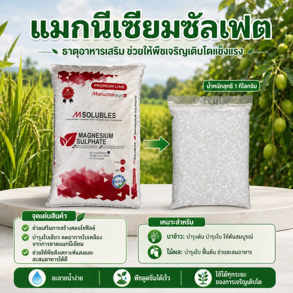 ปุ๋ยเกล็ด แมกนีเซียมซัลเฟต ดีเกลือฝรั่ง / Magnesium sulfate Heptahydrate 99.5% ขนาด 1,000 กรัม
