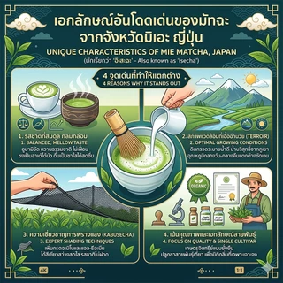 มัทฉะแท้ 100% MATCHA : แบรนด์ HERE จากเมือง Shizuoka และ Hangzhou ( Afiliate )