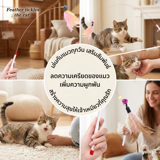 🔥เกรดดีที่สุด🐾ไม้ล้อเล่นแมว ของเล่นแมวมีขนนกและกระดิ่ง ฝึกความสนใจแมว เชือกลวดเหล็กยืดหยุ่น ไม่หักง่าย