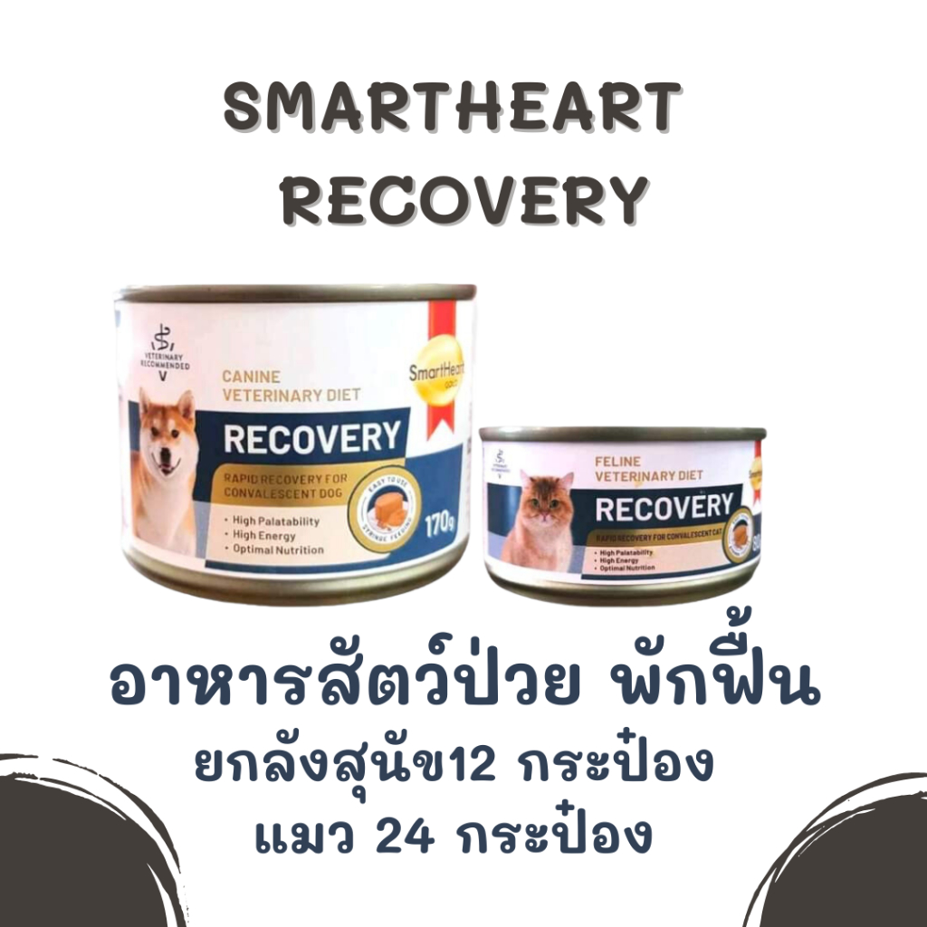 (ยกลัง) exp.2028 Smart Heart Recovery  อาหารเปียก สำหรับสุนัขและ แมวป่วยระยะพักฟื้น  (สุนัข12กระป๋อง แมว 24 กระป๋อง)