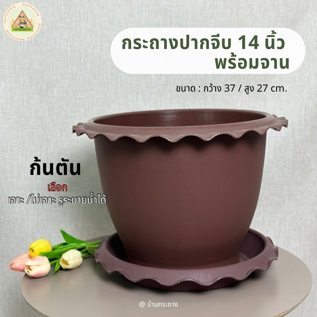 กระถางปากจีบ 14นิ้ว พร้อมจานรอง กระถางต้นไม้ปากจีบ