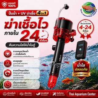 ปั๊ม UV ฆ่าเชื้อ พร้อมปั๊มในตัว (Timer อัจฉริยะ 4–24H) เครื่องเดียวจบ ทั้งกรอง + ฆ่าเชื้อ + เพิ่มออกซิเจน