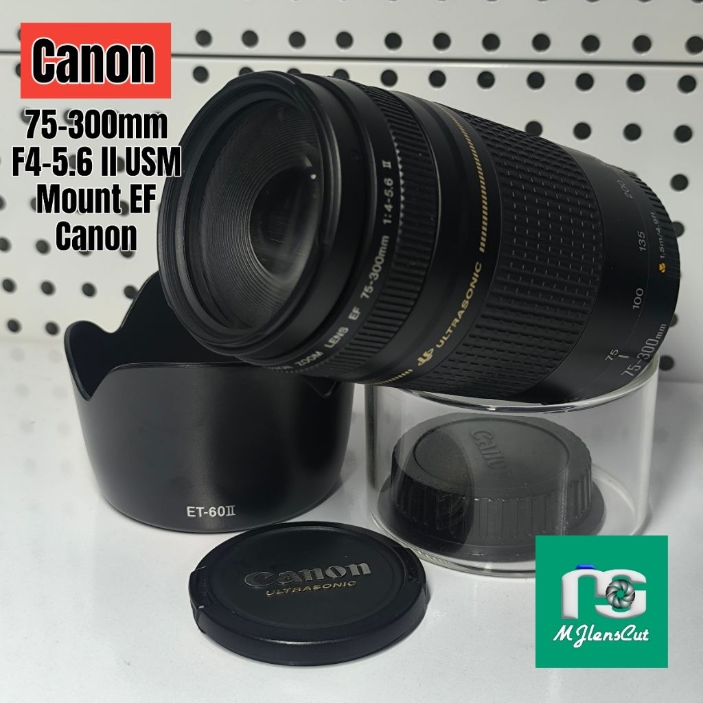 Canon EF 75-300mm F4.5-5.6 II USM  Mount EF Canon