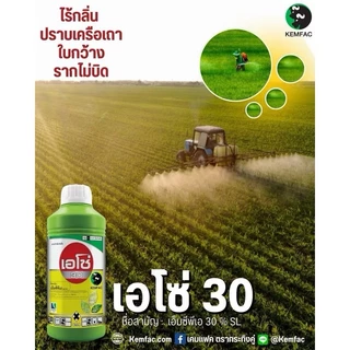 เอโซ่30 (สูตรทนฝน) 1ลิตร (เอ็มซีพีเอ) กำจัดวัชพืช ใบกว้างและกก เก่งกกหนวดปลาดุก