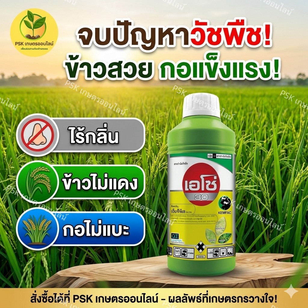 เอโซ่ 30 ขวดเขียว ขนาด 1 ลิตร ชื่อสามัญ : เอ็มซีพีเอ 30% SL (กลุ่ม 0)