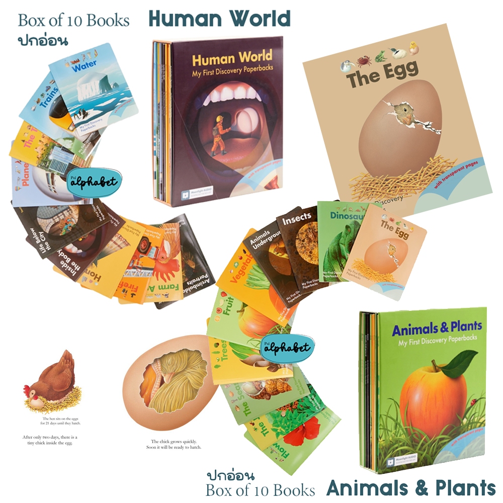 My First Discoveries Human World Box Set , Animals & Plants ปกอ่อน Pre-Order The Egg Plane Trains