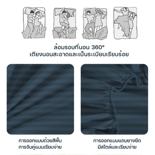 Loppy ลายทาง ผ้าปูเตียง ผ้าปูที่นอน6ฟุต ผ้าปูที่นอนกันไรฝุ่น ชุดผ้าปูที่นอน นอนสบาย Bed Sheets