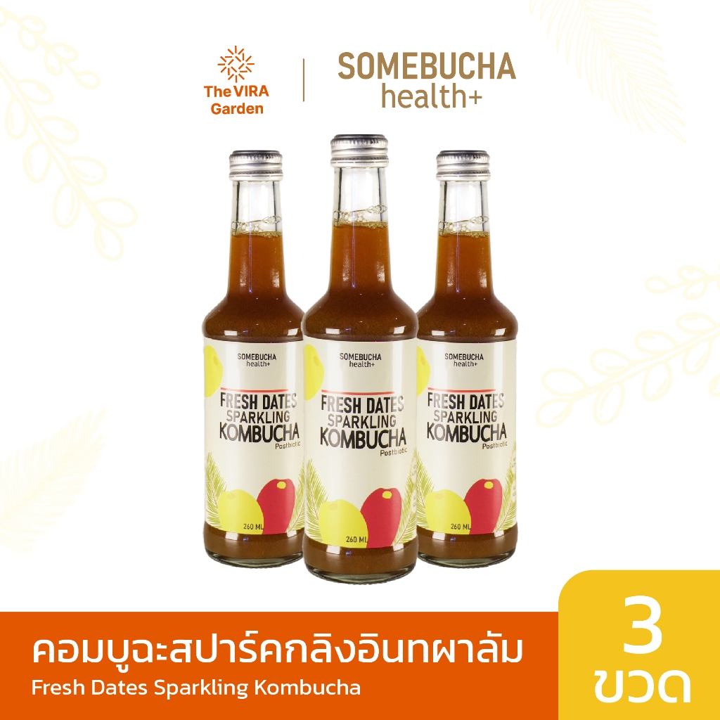 Kombucha คอมบูฉะสปาร์คกลิ้งอินทผลัมขวดแก้วพร้อมดื่ม 260 ml. ( แพ็ค 3 ขวด )