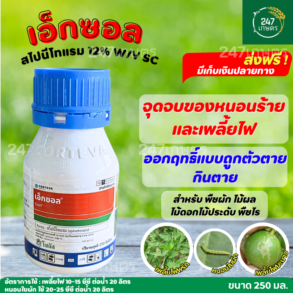 เอ็กซอล (250ซีซี) จุดจบของหนอนร้าย และเพลี้ยไฟดื้อยา สไปนีโทแรม 12% SC หนอน หนอนข้าวโพด หนอนกระทู้
