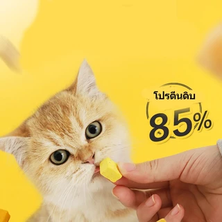 😻🐶อกไก่ฟรีซดราย 100%ฟู้ดเกรด ขนมแมว ฟรีซดรายแมว ไก่ฟรีซดราย ขนมฟรีซดรายแมว ไก่ฟรีซดรายแมว อกไก่เต๋า