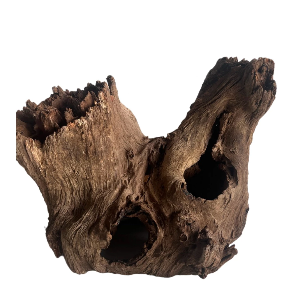 ตอไม้ ที่นอนชูก้า driftwood ตอไม้แต่งสวน