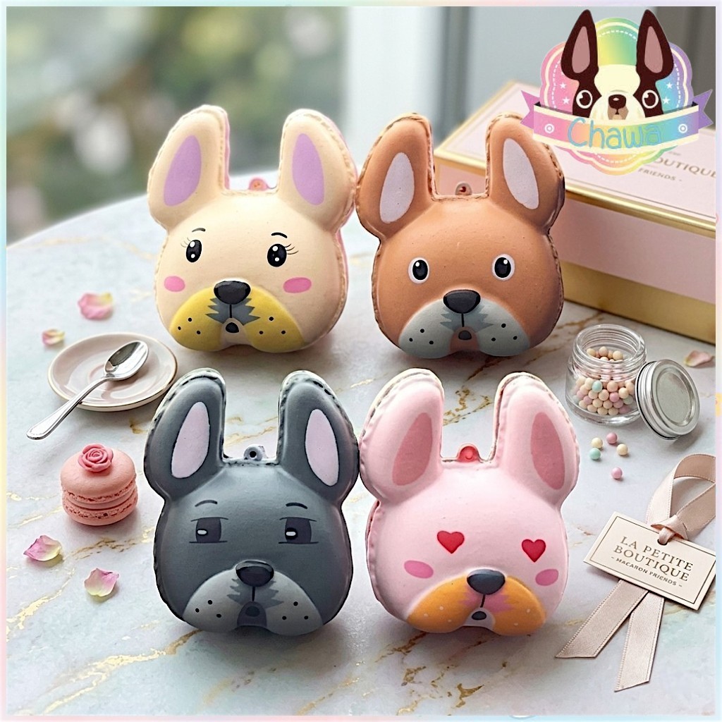 พร้อมส่งจากไทย⭐ สกุชชี่เฟรนมาการอง ของChawa ( Sale สินค้ามือ 1 มีตำหนิเนื่องจากเก็บมานาน❗) – โปรปัง