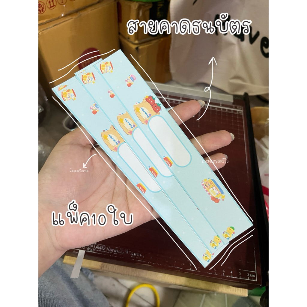 สายคาดธนบัตร 10ใบ 1แพค โทนพาสเทลน่ารักตะมุตะมิกิ่งก่องแก้วเว่อ