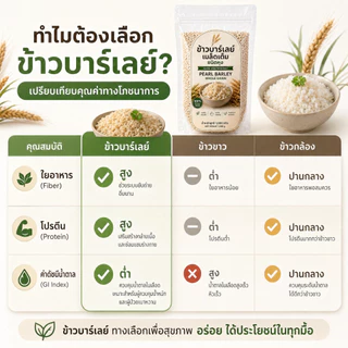 ข้าวบาร์เลย์เมล็ดเต็ม ชนิดหุง 500g | Pearl Barley Whole Grain | ไฟเบอร์สูง Low GI หุงง่าย นุ่ม อร่อย