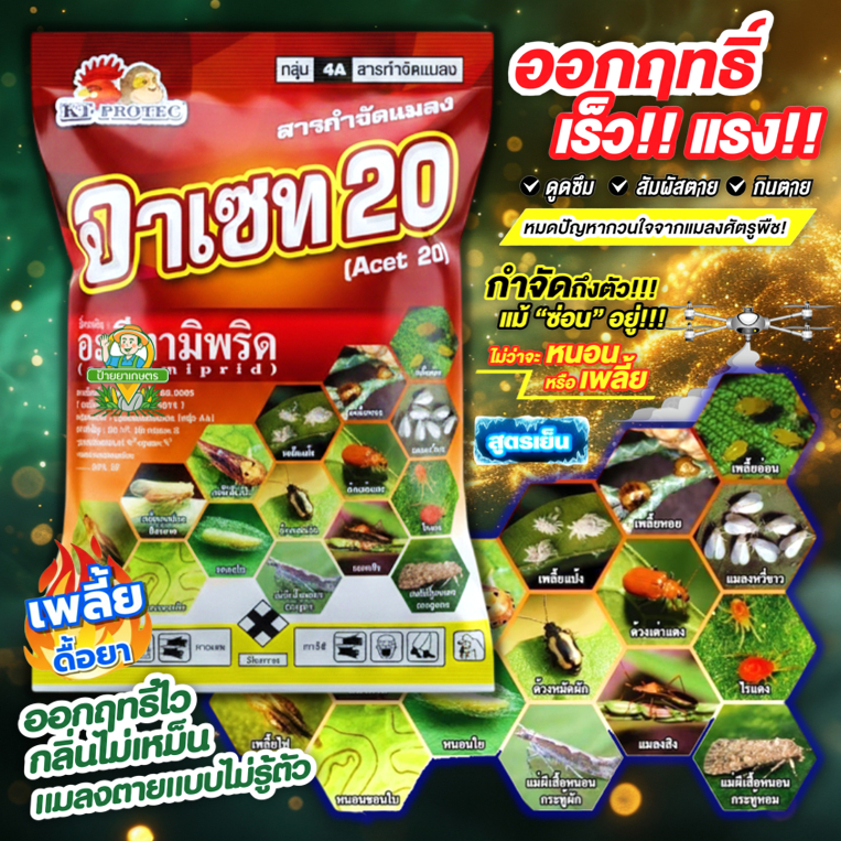 อาเซท 100g สูตรเย็น อะซีทามิพริด 20%SP กำจัดหนอน แมลง เพลี้ยไฟ แมลงหวี่ขาว เพลี้ยอ่อน ด้วงหมัดผัก
