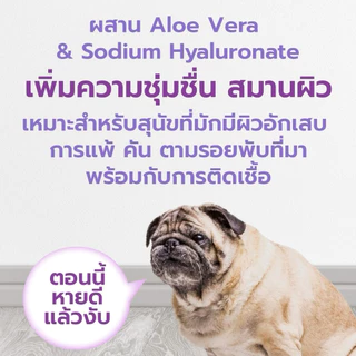 Nano care spray ( 50ml ) นาโนเสปย์ ปลอดภัย (Exp.10/2027)
