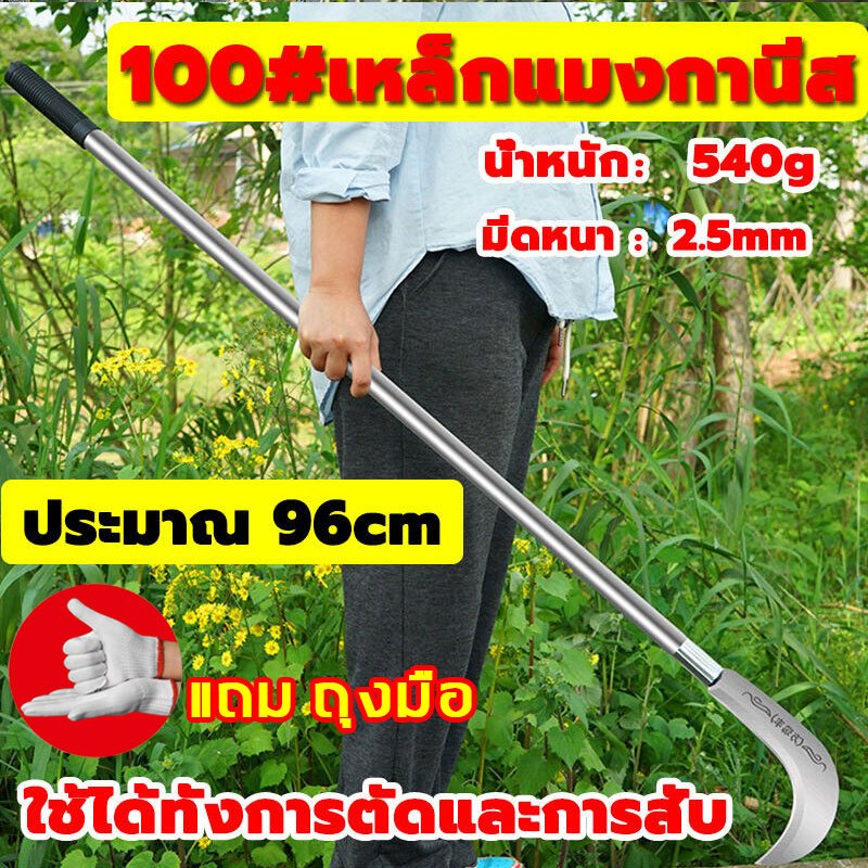 Thumbnail 9