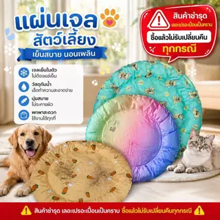 Boqi Pet Cool mat เย็นสบาย แผ่นเจลเย็น ที่นอนเย็น แผ่นทำความเย็น สินค้าเลอะ เปอะเปื่อน SALE 1010