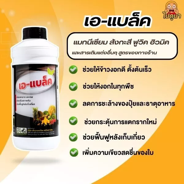 เอ-แบล็ค (A-Black) สารบำรุงพืชสูตรเข้มข้น ฟื้นฟูต้นหลังเก็บเกี่ยว ช่วยแตกราก แตกกอ สำหรับพืชทุกชนิด (ขนาด 1 ลิตร)