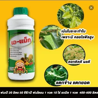 เอ-แม็ก (A-Max) อาหารเสริมพืช สูตรเข้มข้น ช่วยพืชแตกกอ แตกราก ฟื้นต้นหลังเก็บเกี่ยว