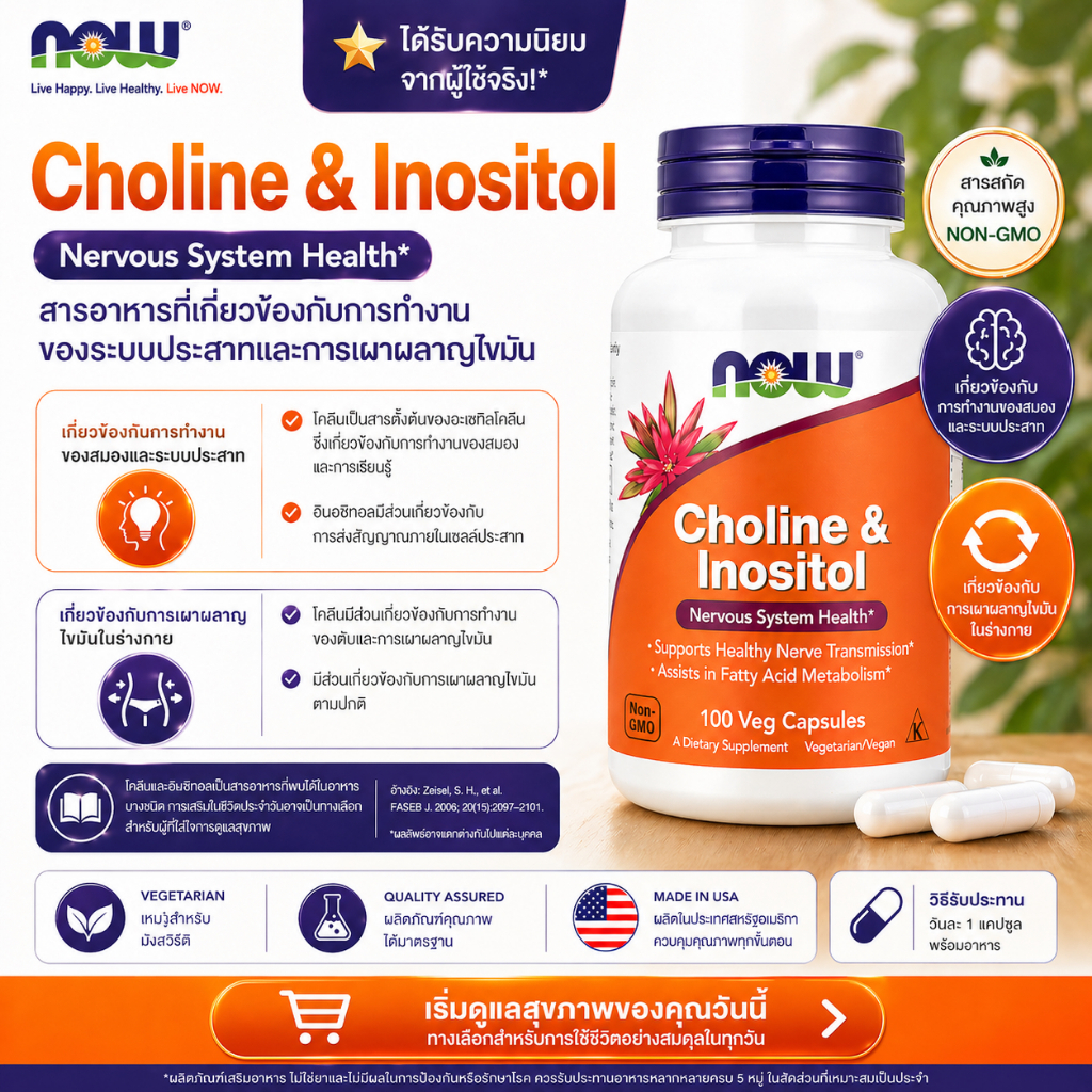 พร้อมส่ง NOW Foods, Choline & Inositol, 100 Veg Capsules (BBF 01/2031)