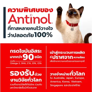 Antinol Cat แอนทินอล อาหารเสริมไขมัน บำรุงข้อ สำหรับแมว 1 กล่อง (60 เม็ด) Vetz Petz
