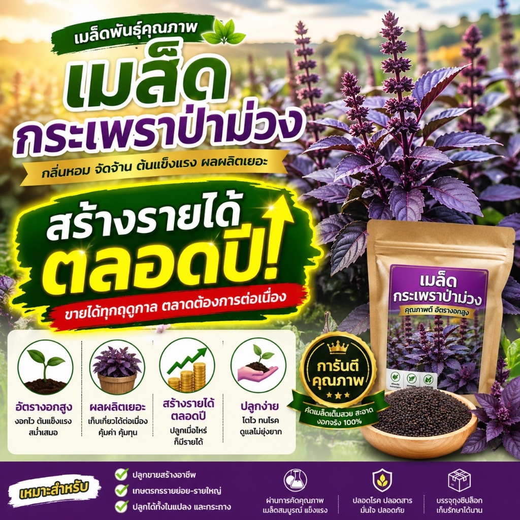 เมล็ดกระเพราป่าม่วงแท้ 100% โตไว ใบดก ปลูกง่าย20กรัม