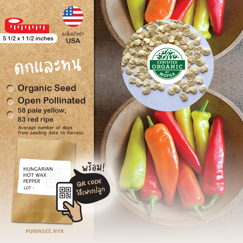 เมล็ดผักนำเข้า พริกฮังการี Hungarian Hot Wax Pepper (Organic Seed) พริกหยวก ปลูกง่าย ปันอินทรีย์