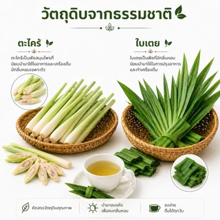 ชาใบเตยและตะไคร้12และ40 ซองชา ความหอมละมุนที่ลงตัว เบาสบาย เหมาะสำหรับทุกวัน หอมธรรมชาติ ไม่แต่งสี ไม่แต่งกลิ่น