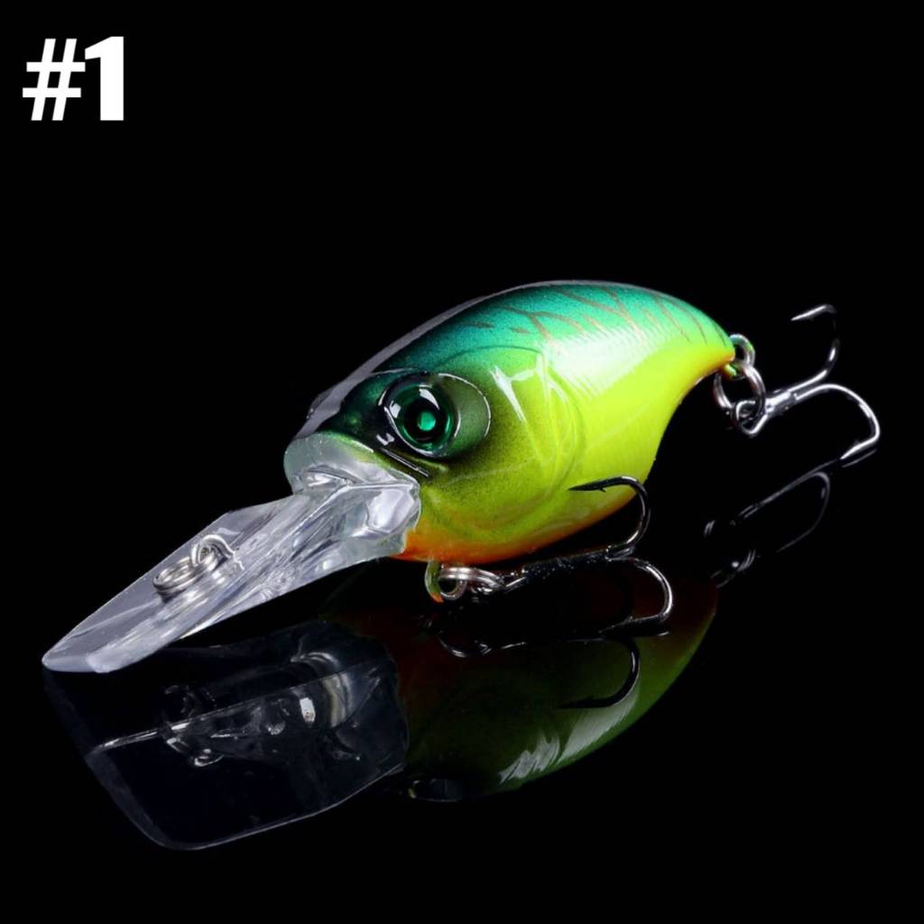 Thumbnail 5