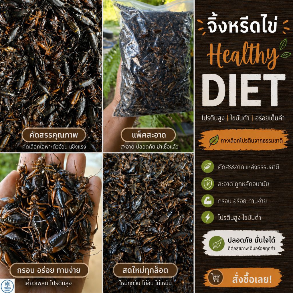 [ค่าส่งถูก]จิ้งหรีดไข่ แช่แข็ง 1 กิโลกรัม ไข่แน่น สดใหม่ (โปรดอ่านรายละเอียดก่อนสั่งซื้อ)