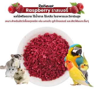 Raspberry ราสเบอรร์รี ฟรีซดราย ไร้น้ำตาล ไร้เกลือ อาหารนกแก้ว และสัตว์ฟันแทะทุกชนิด (กระปุก 20G)