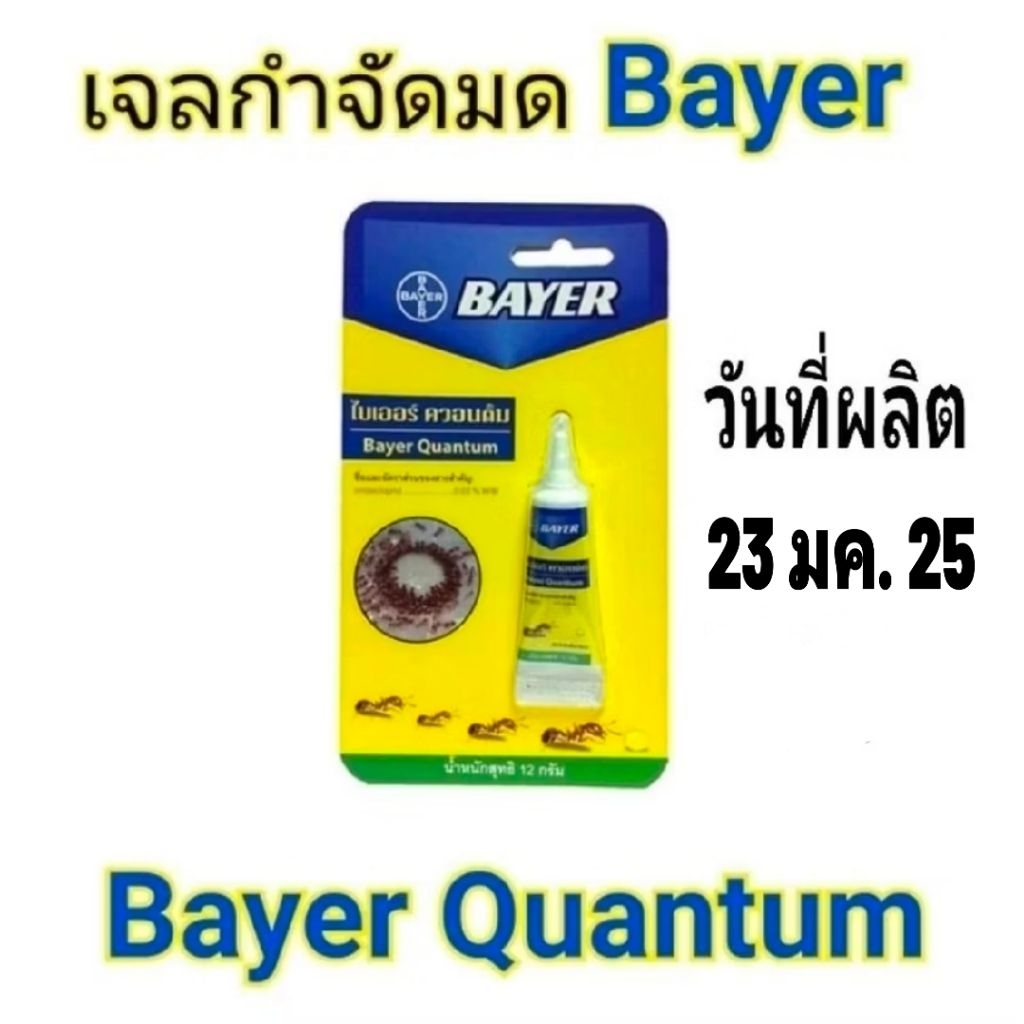 Bayer Quantum น้ำยาฆ่ามด​ ไบเออร์​ ควอนตั้ม​ 12​ กรัม​ ผลิต​ 23/01/25