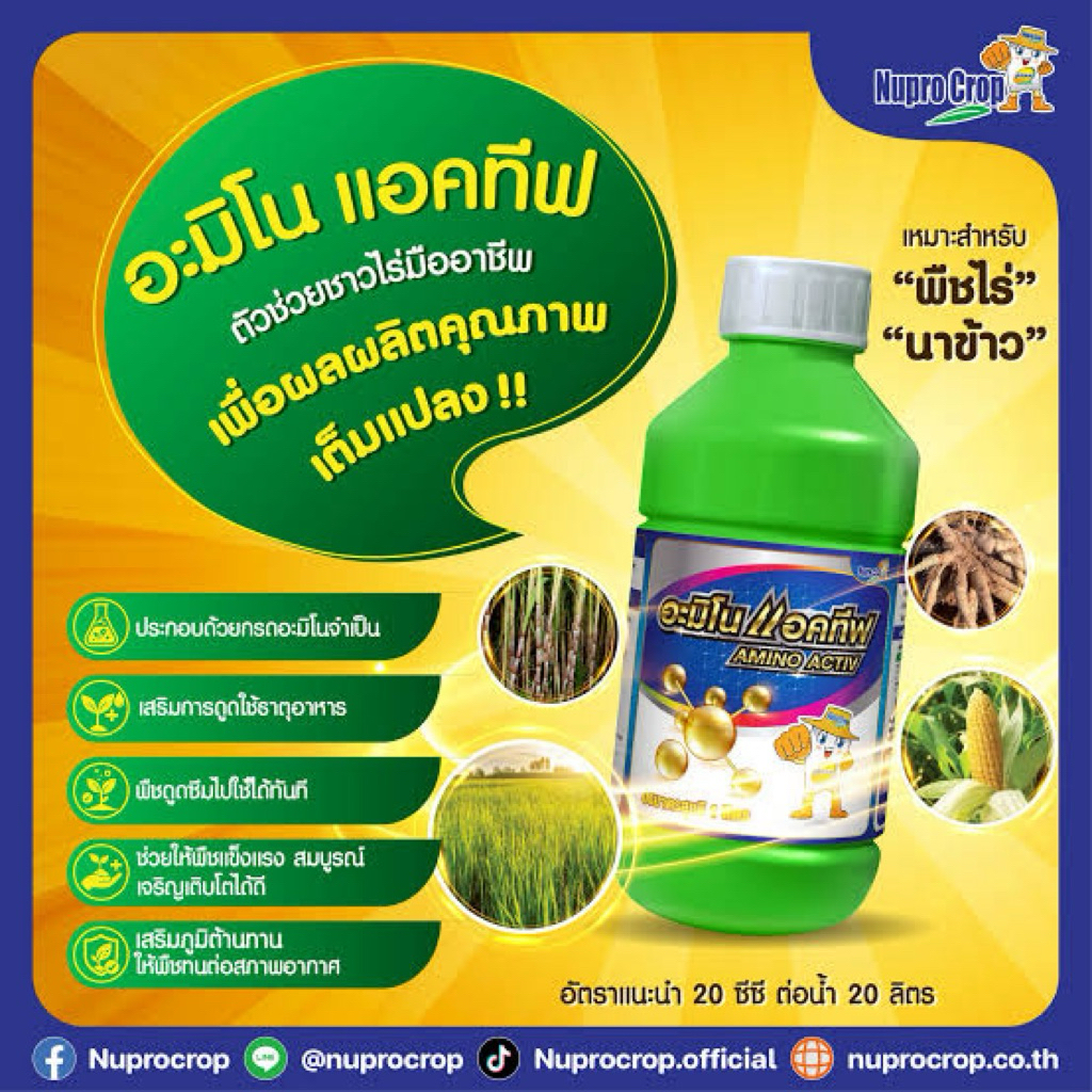 อะมิโนแอคทีฟ (1ลิตร)