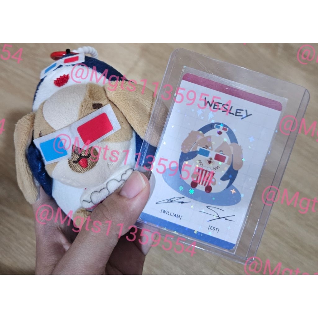 Wesley doll keychain V3 ของสะสมวิลเลี่ยมเอส(Williamest) gmmtv