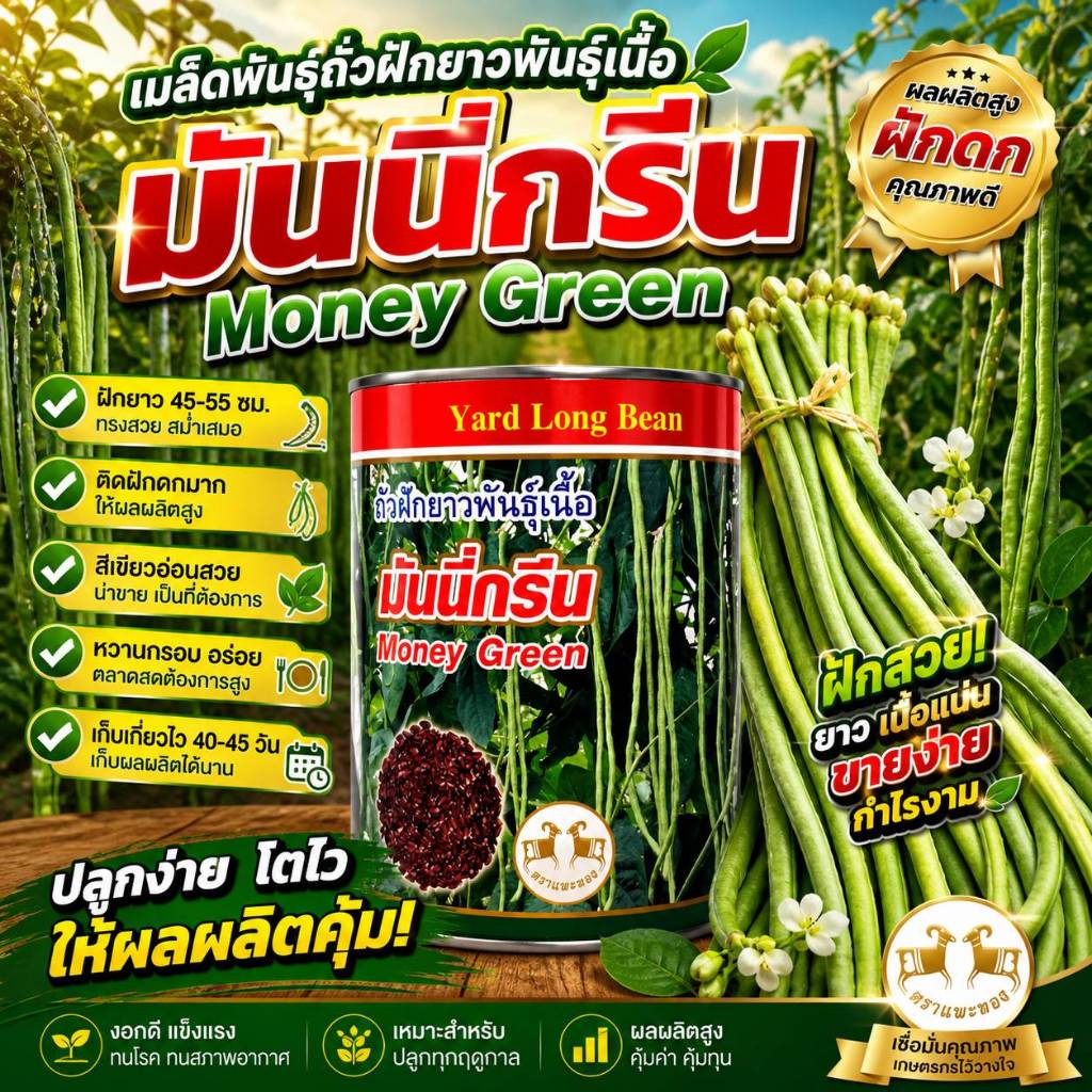 เมล็ดพันธุ์ถั่วฝักยาวมันนี่กรีน ขนาด 500 กรัม