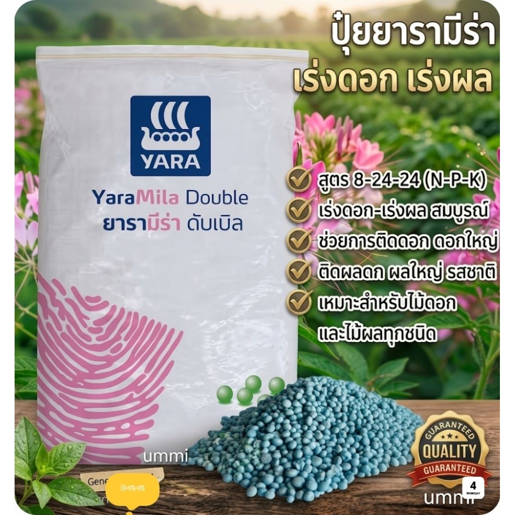 ปุ๋ยแบ่งขาย500-1000kg ยารามีร่าสูตร8-24-24